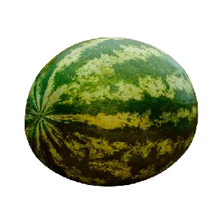 [SCT0102] watermelon