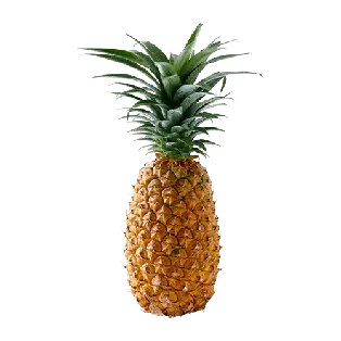 [SCT0104] Pineapple