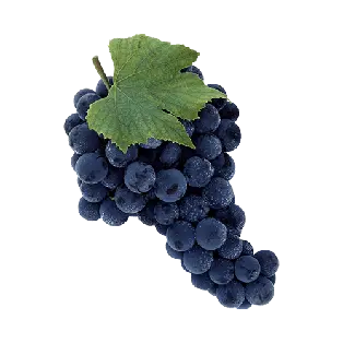 Grapes